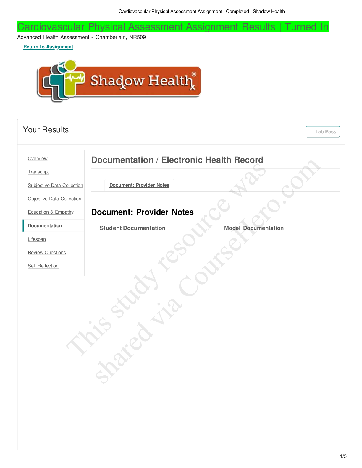 Preview image for NR 509 Cardiovascular Documentation Shadow | Cardiovascular Physical Assessment Assignment Results